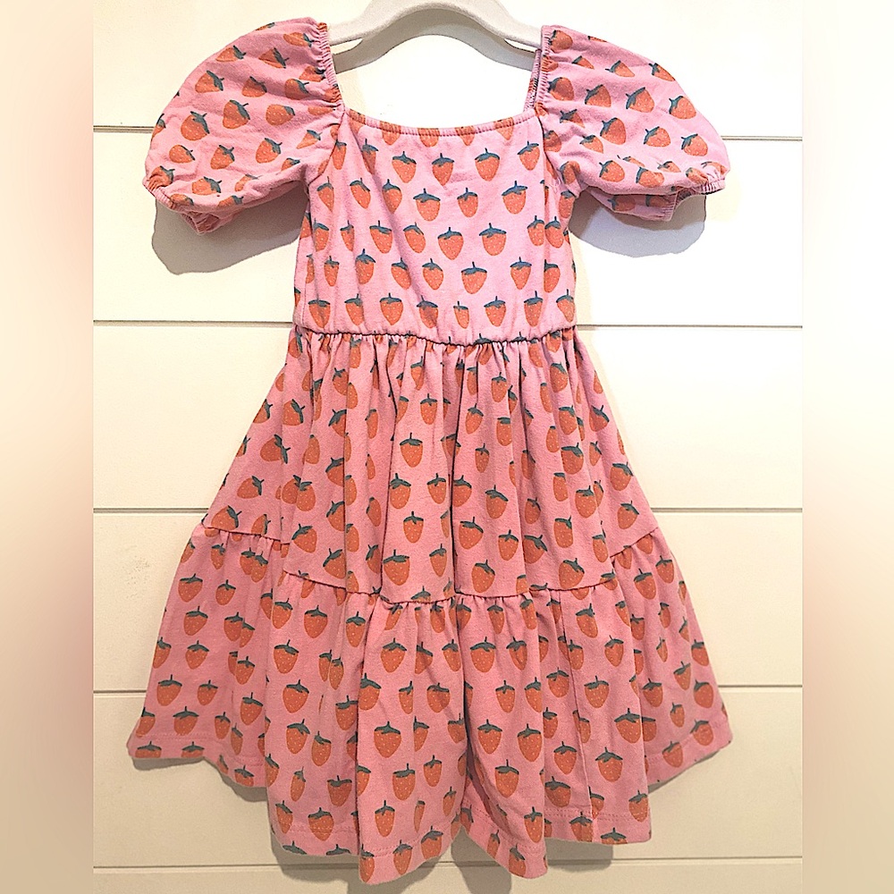 Alice + Ames Juliet Ballet Twirl Dress Size 4T Good Used Condition
